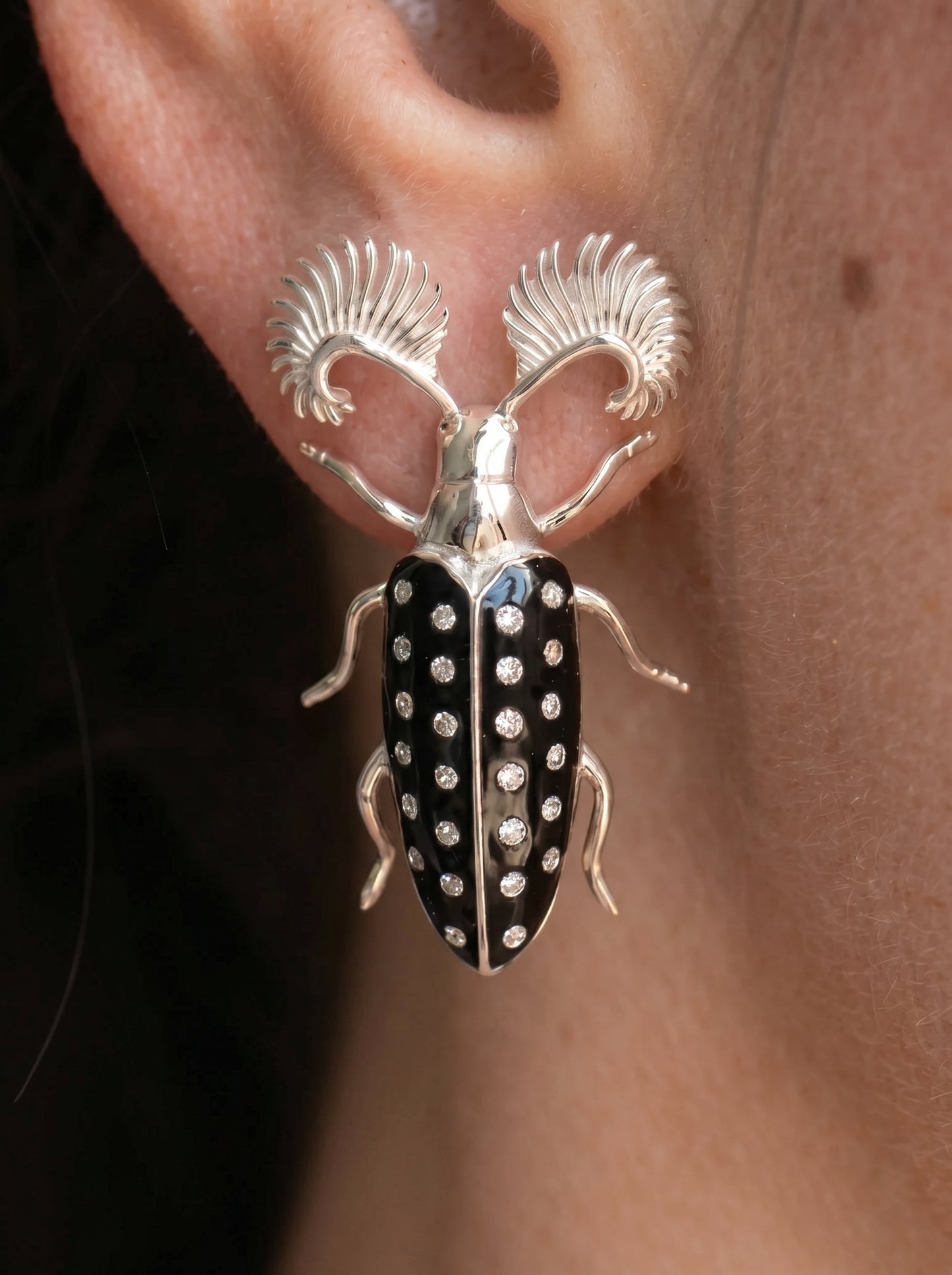 Feather‑Horned Beetle Stud Earrings — Rhipicera sp. • Black Enamel + Crystals