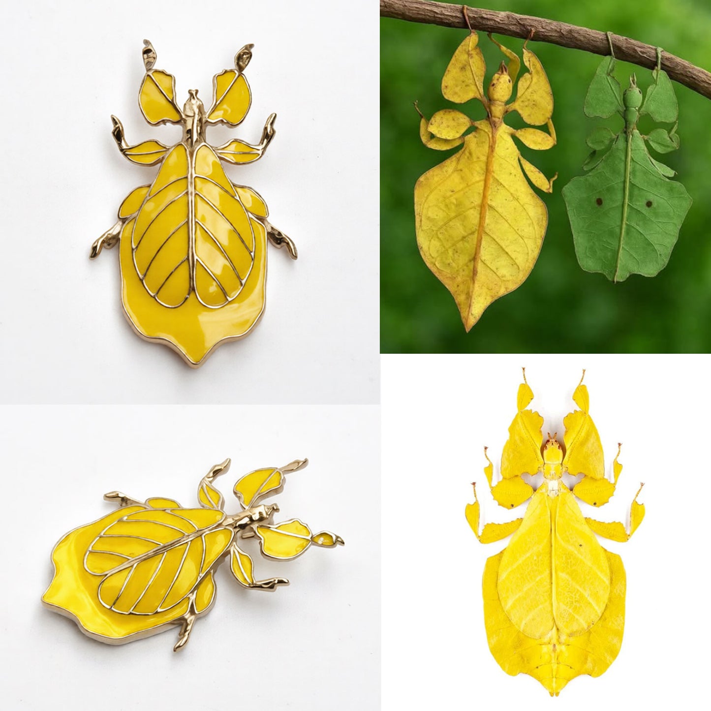 Phylliidae Leaf Insect Pendant –Yellow Enamel | Nature‑Inspired Sculptural Jewelry