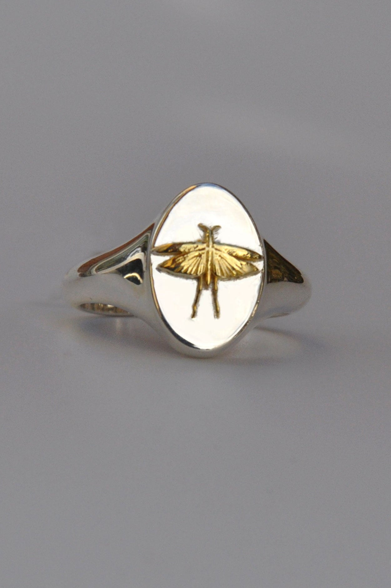 Pisces Grasshopper Zodiac Signet Ring | Sterling Silver & Gold