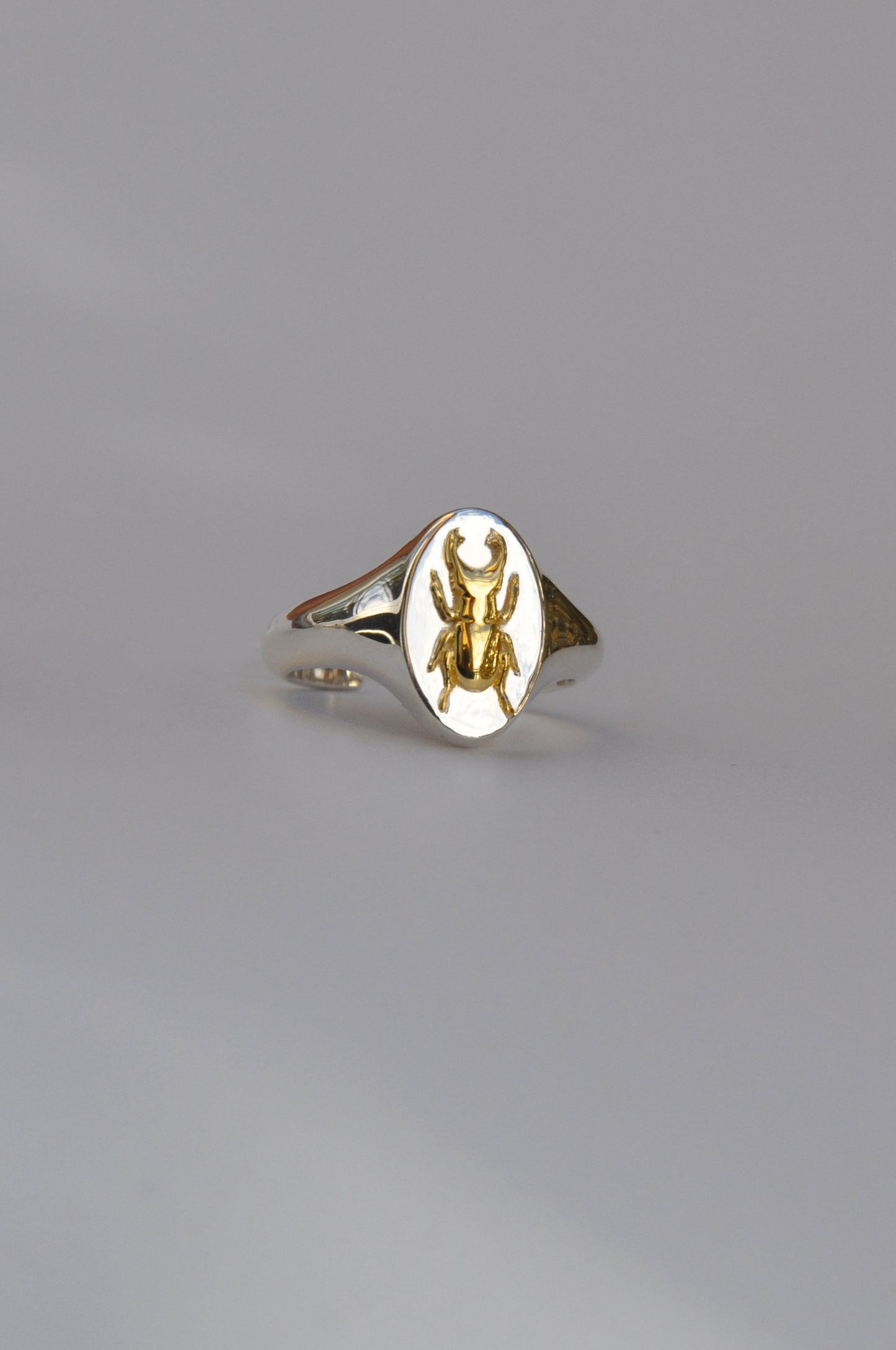Aries Stag Beetle Signet Ring | Sterling Silver & Gold Plated