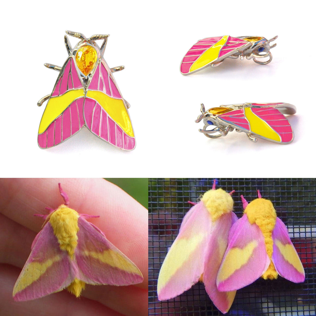 Side-by-side comparison of a real Rosy Maple Moth with vibrant pink and yellow wings, and a handcrafted sterling silver pendant inspired by its colors and shape, featuring enamel details and gemstone accents.