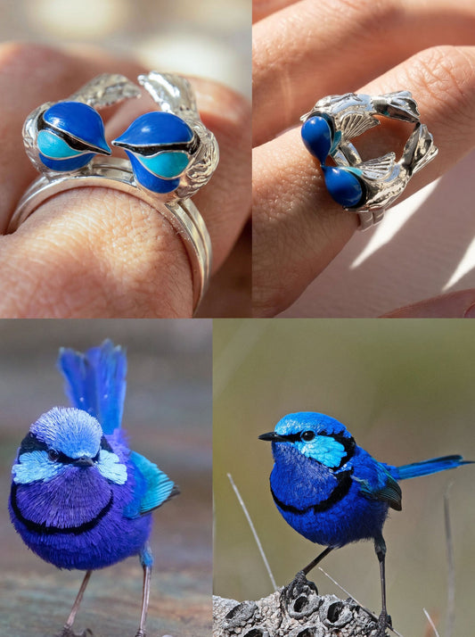 Close‑up collage showing silver and enamel rings inspired by the Splendid Fairy Wren above, and two real blue wrens below. The jewelry features sculpted birds with vivid blue and turquoise enamel, echoing the birds’ bright plumage and rounded forms.