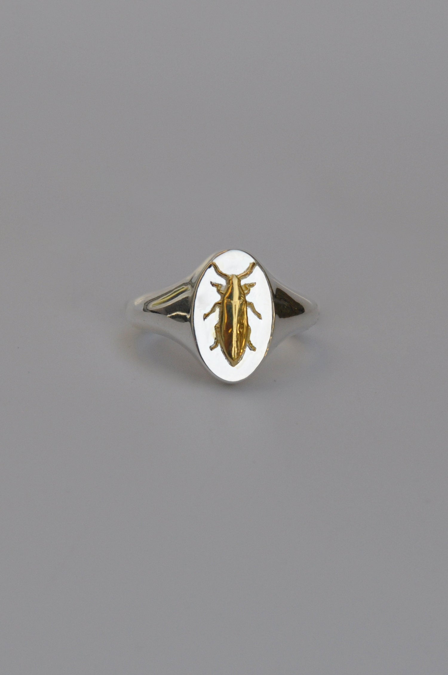 Zodiac Insect Talismans | Sterling Silver & Gold Signet Rings