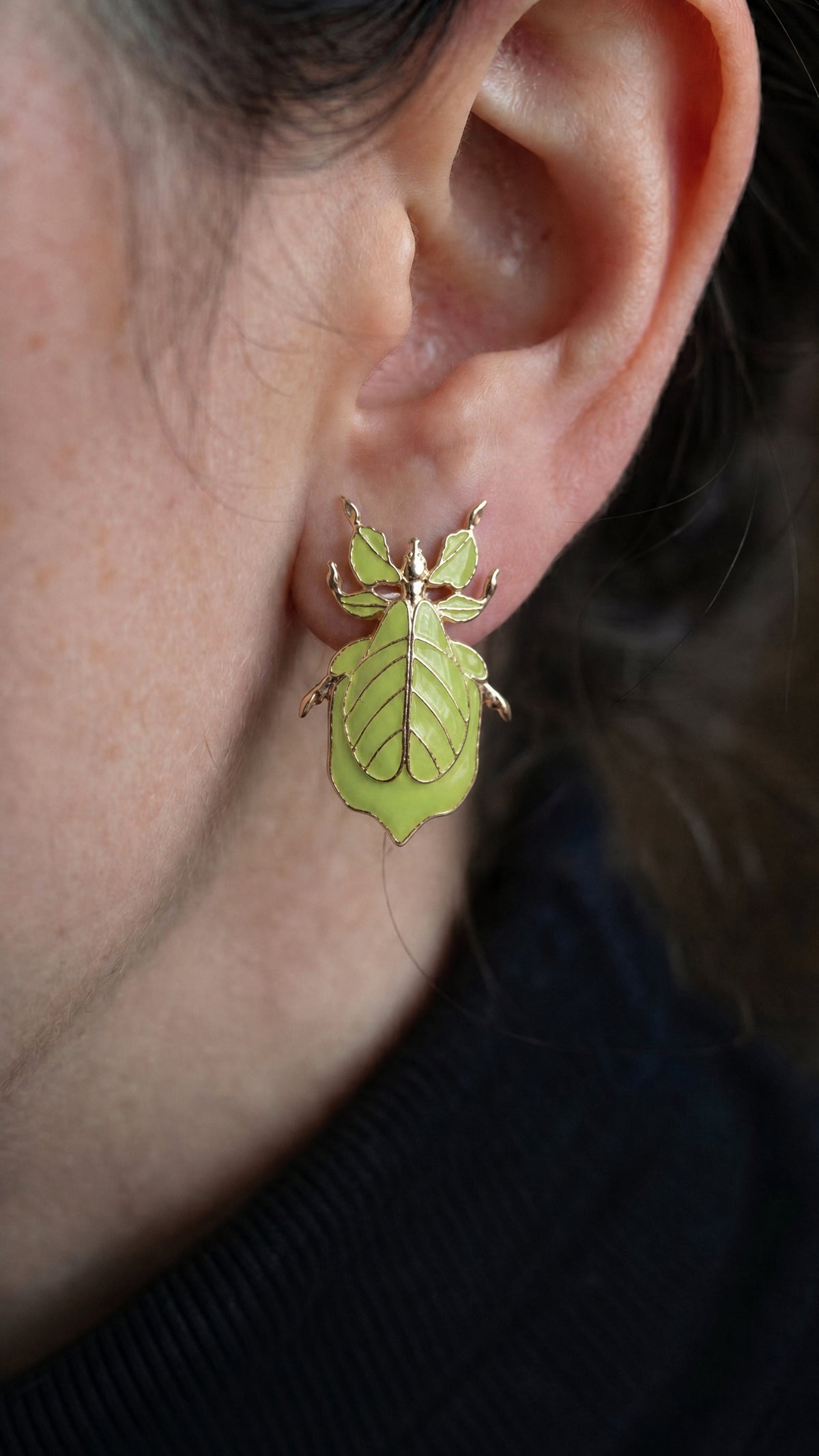 Phylliidae Leaf Insect Earrings – Gold or Silver Studs with Enamel