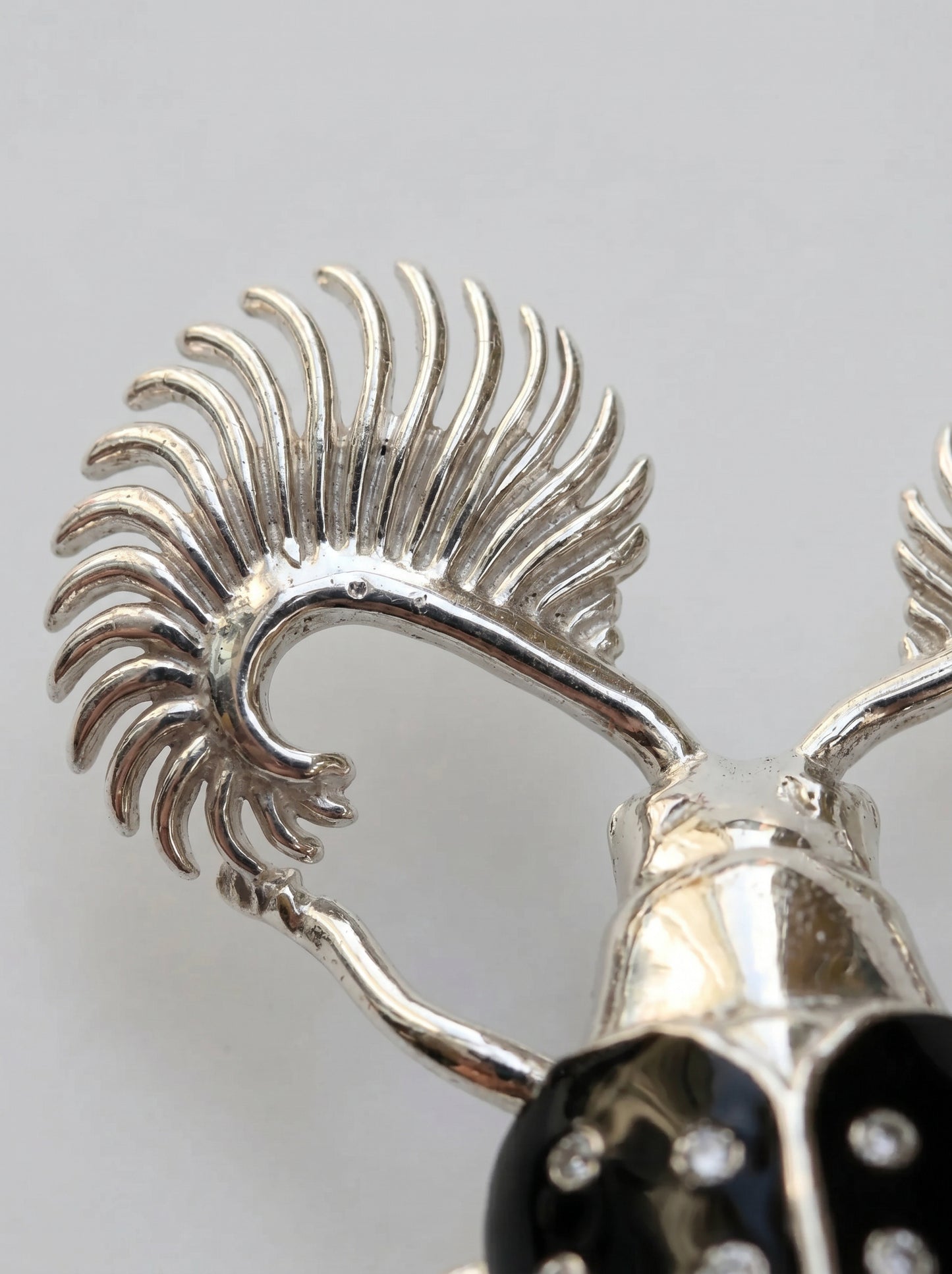Feather‑Horned Beetle Brooch — Rhipicera sp. • Black Enamel + Crystals