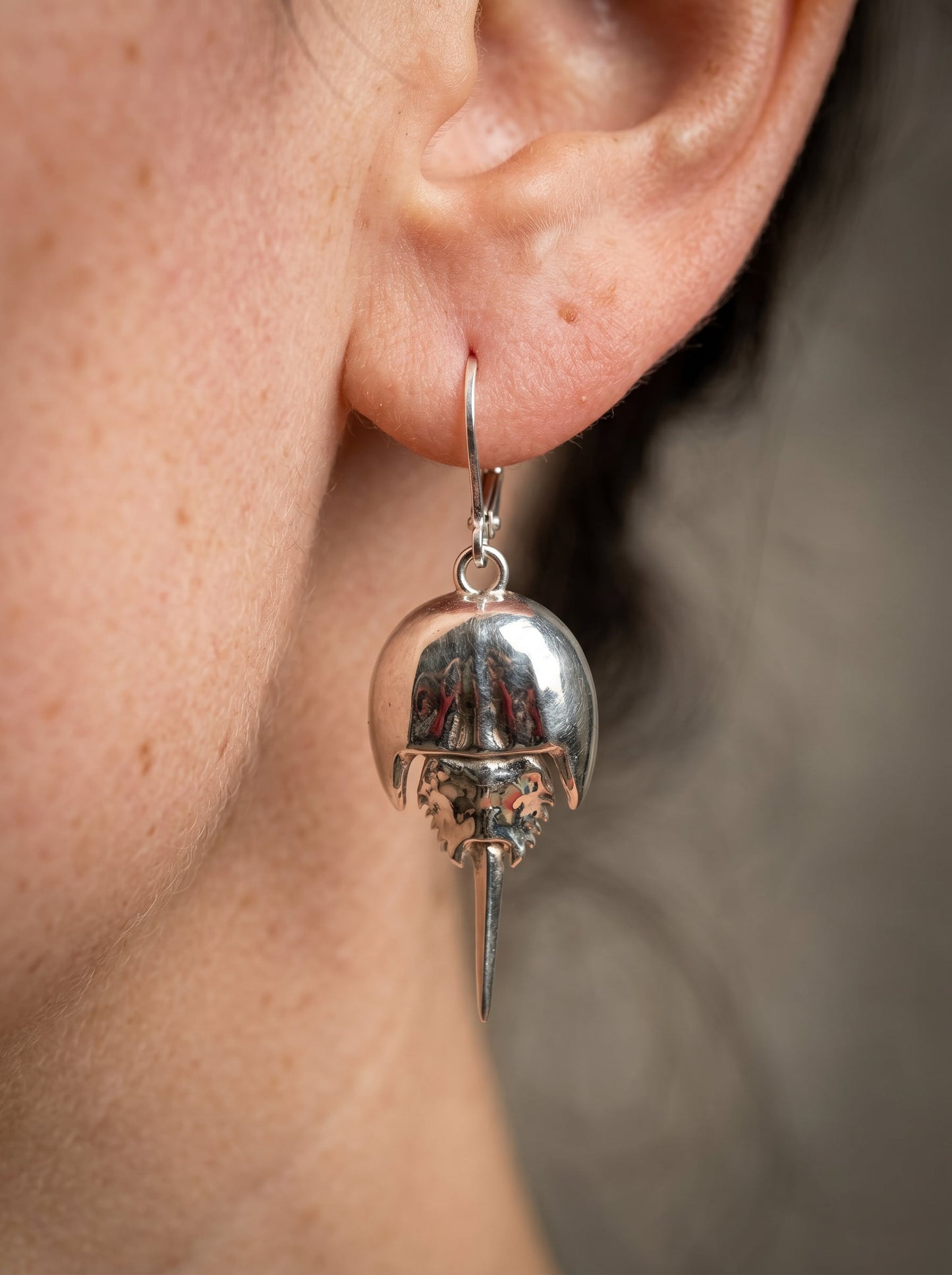 Articulated Horseshoe Crab Earrings – Fossil Jewelry in Silver & Gold
