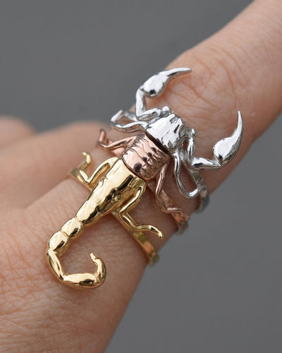 Scorpion Stacking Rings: 3‑Ring Modular Exoskeleton Set