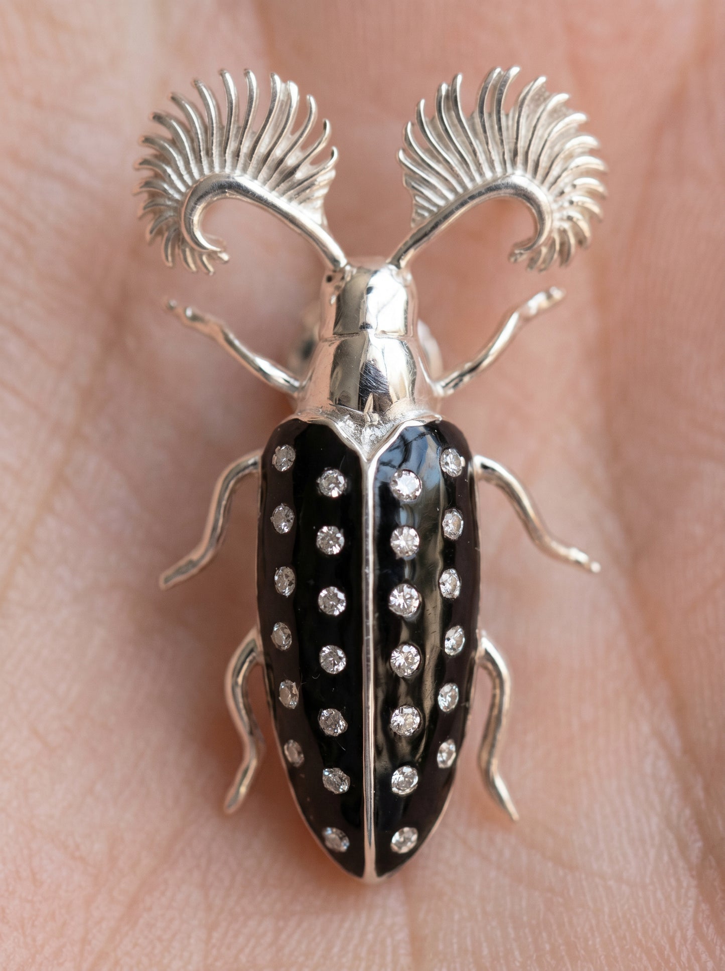 Feather‑Horned Beetle Stud Earrings — Rhipicera sp. • Black Enamel + Crystals