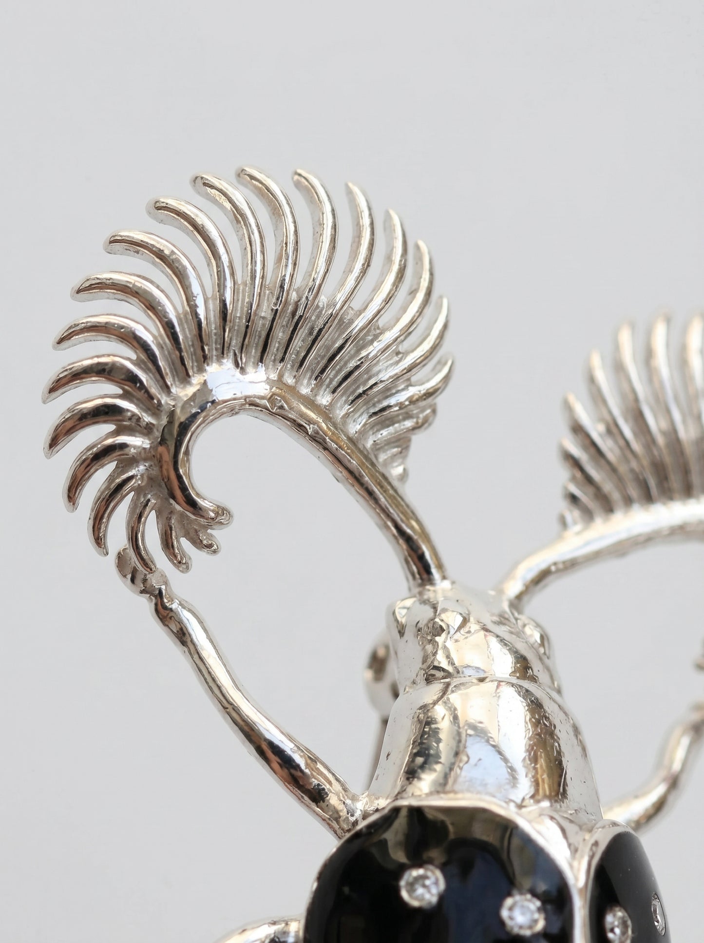 Feather‑Horned Beetle Stud Earrings — Rhipicera sp. • Black Enamel + Crystals