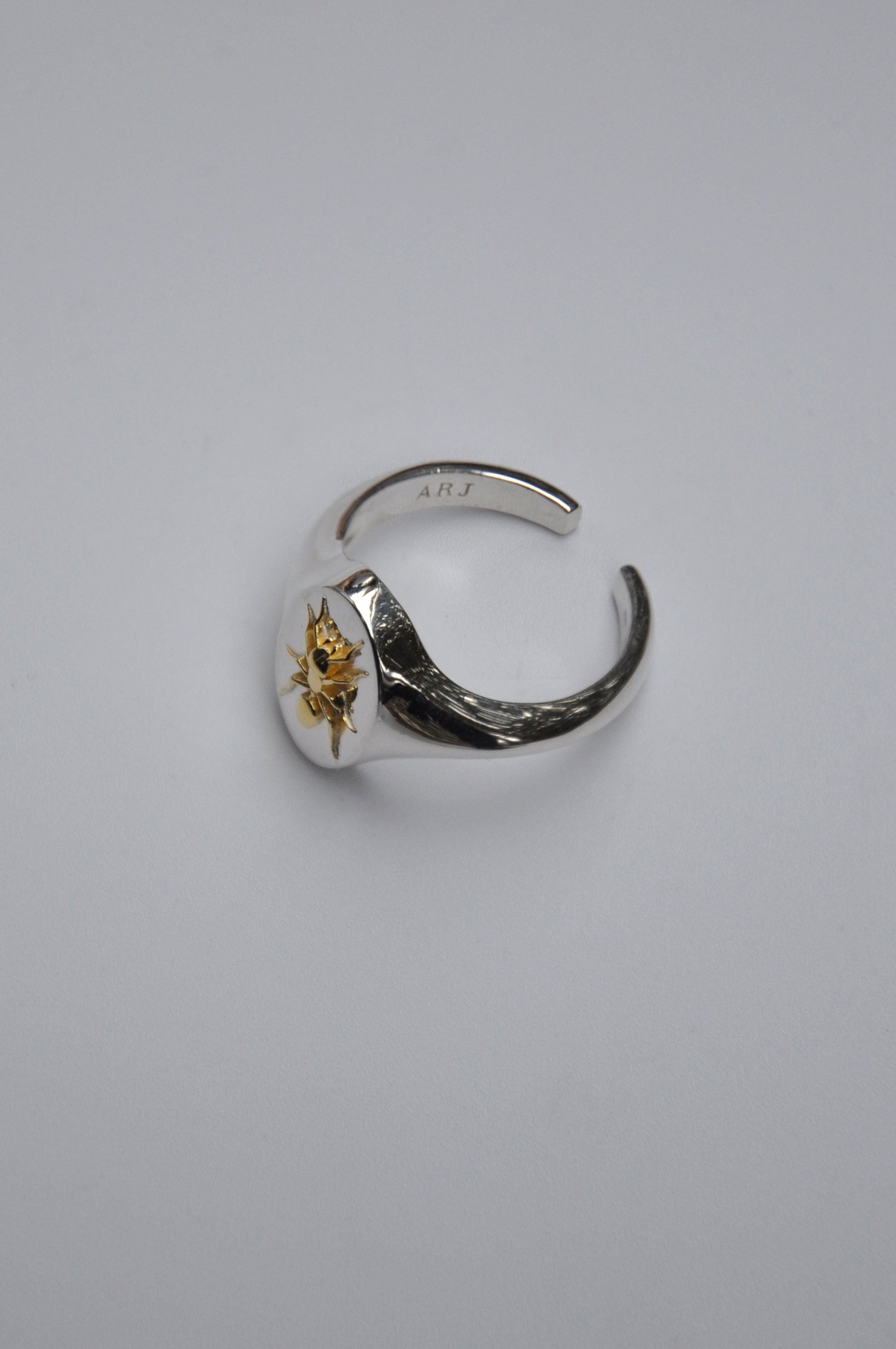 Aquarius Ant Zodiac Signet Ring | Sterling Silver & Gold Plated