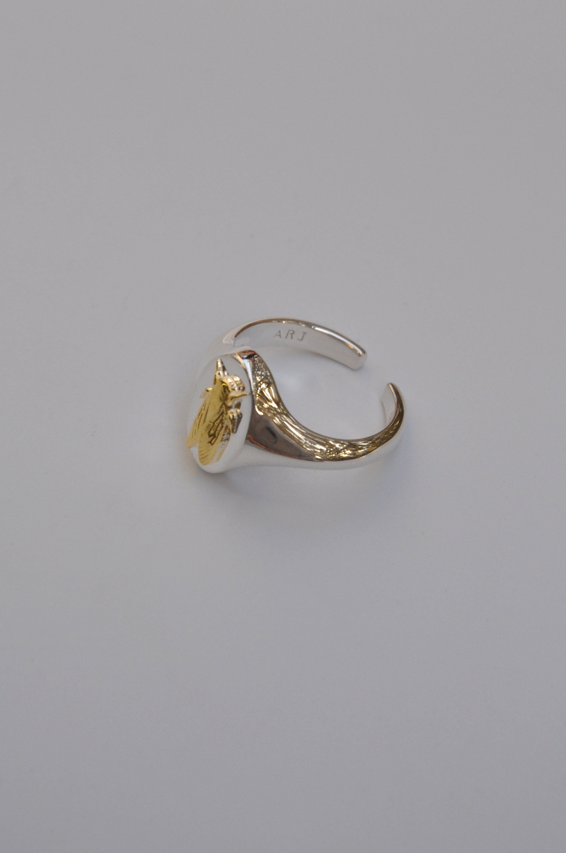 Gemini Cicada Zodiac Signet Ring | Sterling Silver & Gold Plated