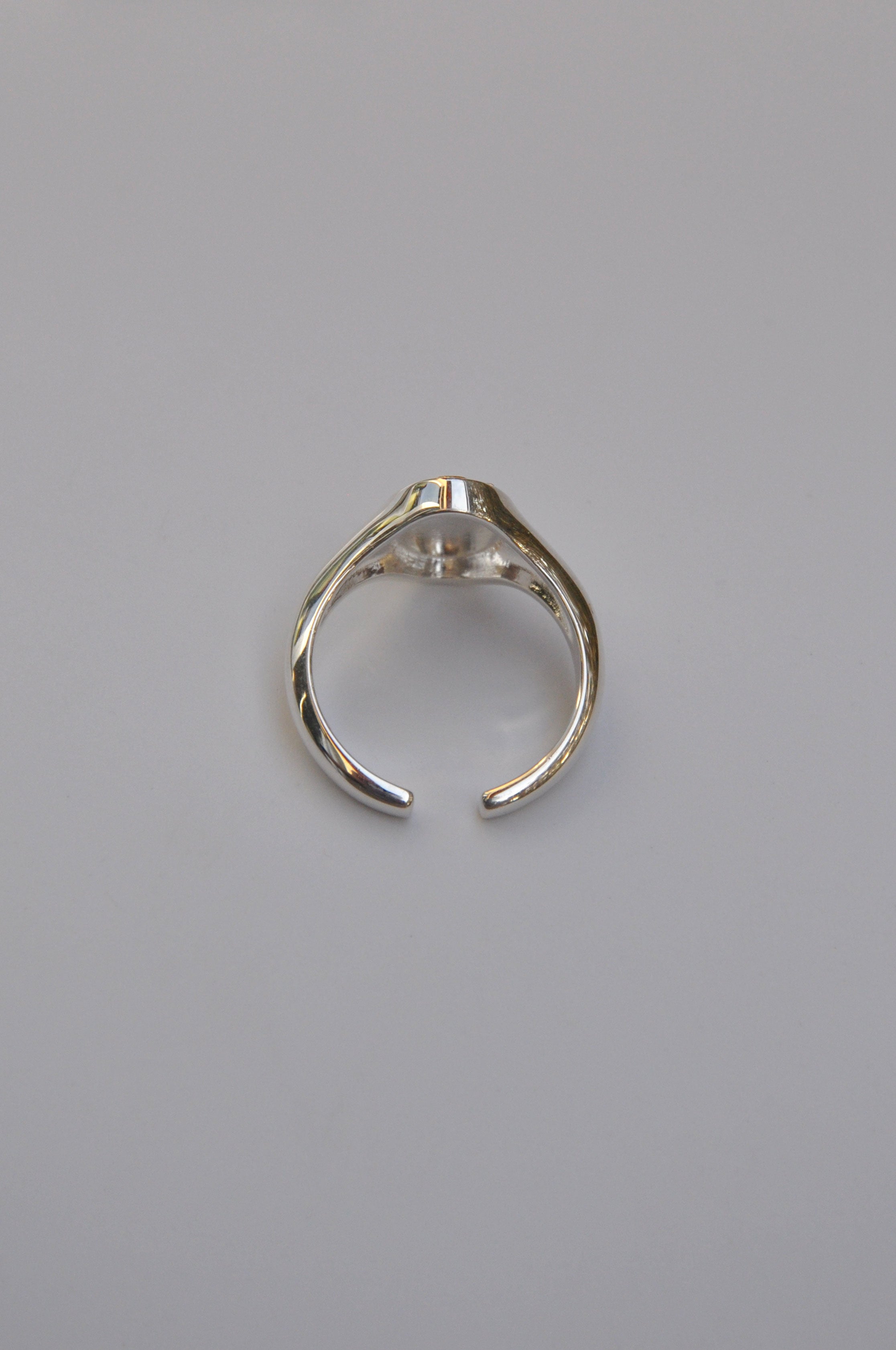Gemini Cicada Zodiac Signet Ring | Sterling Silver & Gold Plated