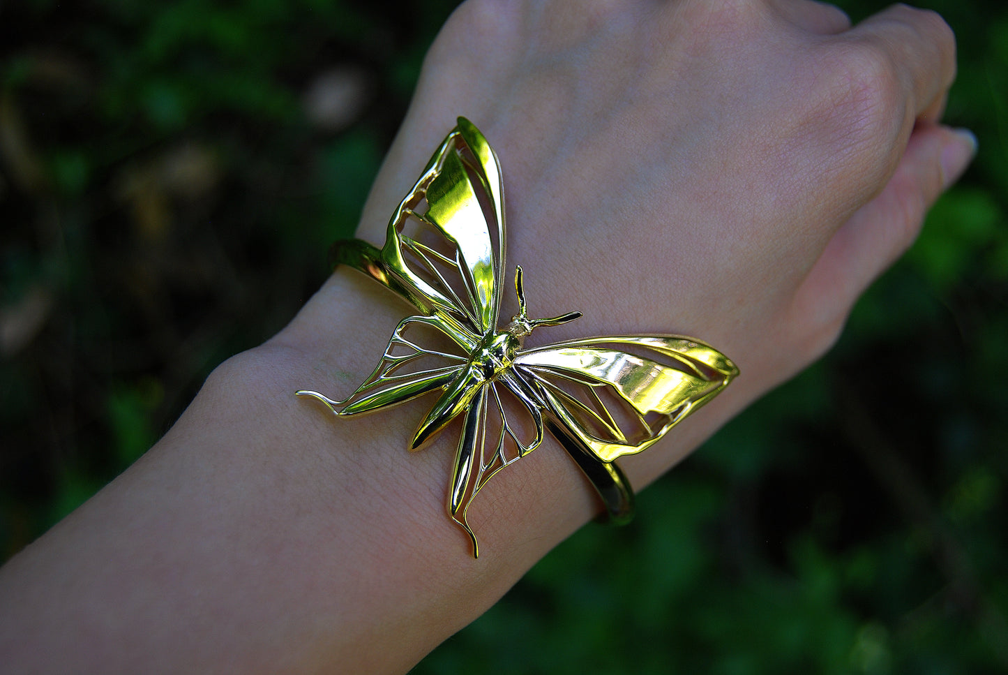 Paradise Birdwing Butterfly Bracelet