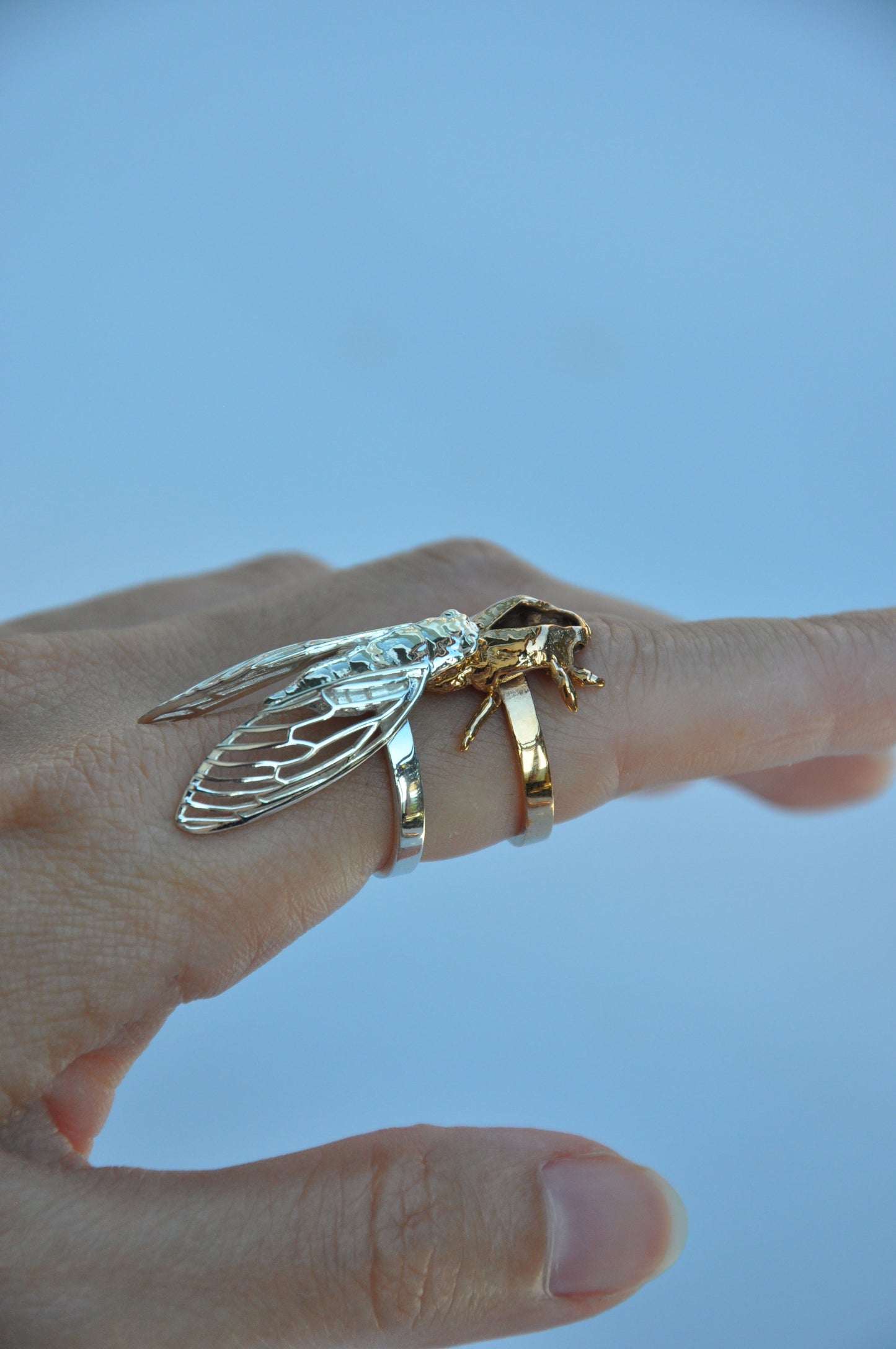 Cicada & Shell Stacking Rings – Nature-Inspired Insect Jewelry