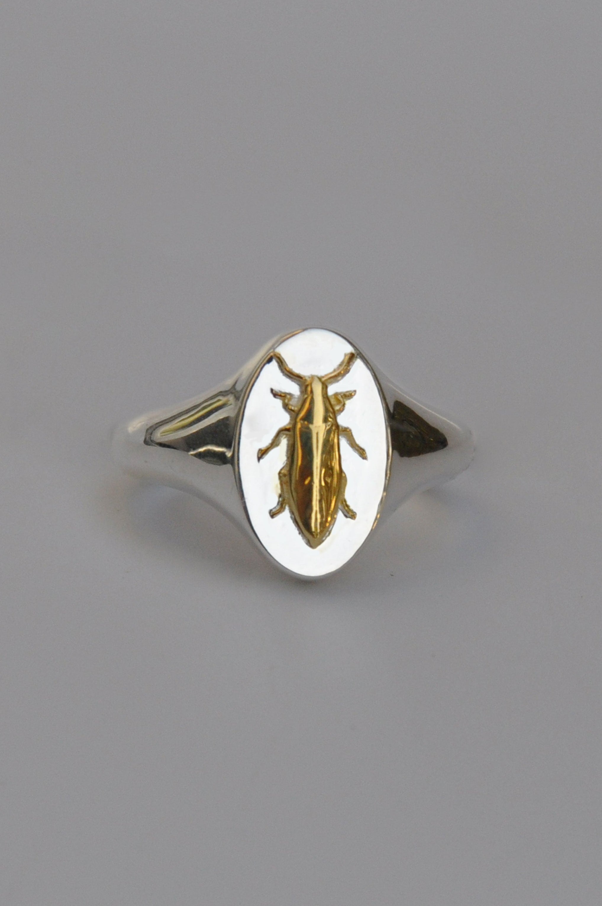 Gemini Cicada Zodiac Signet Ring | Sterling Silver & Gold Plated