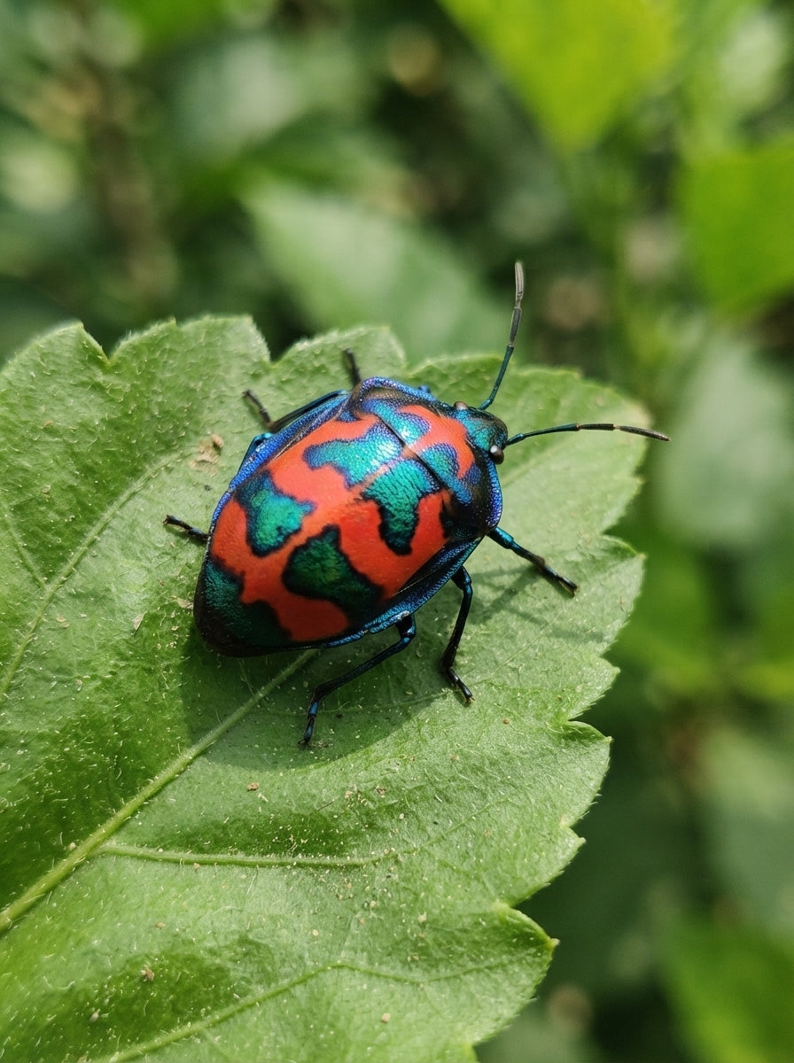 Harlequin Shield Bug Pendant – Matte Red & Shiny‑Blue Enamel