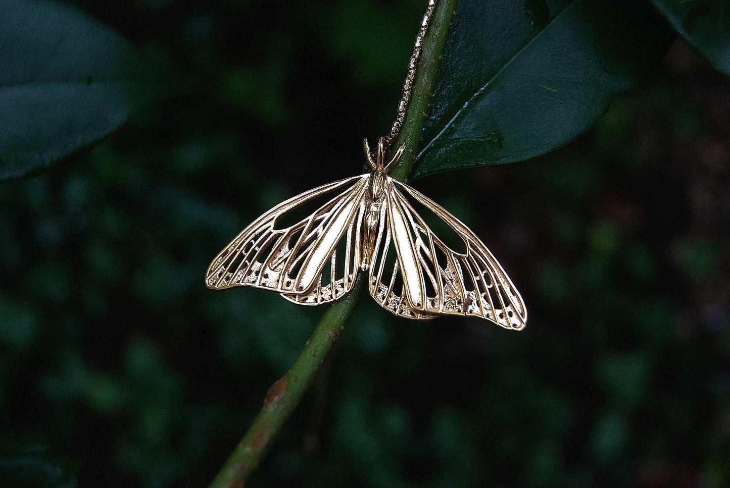 Gold Butterfly Pendant – Handcrafted Nature-Inspired Jewelry (No Chain)