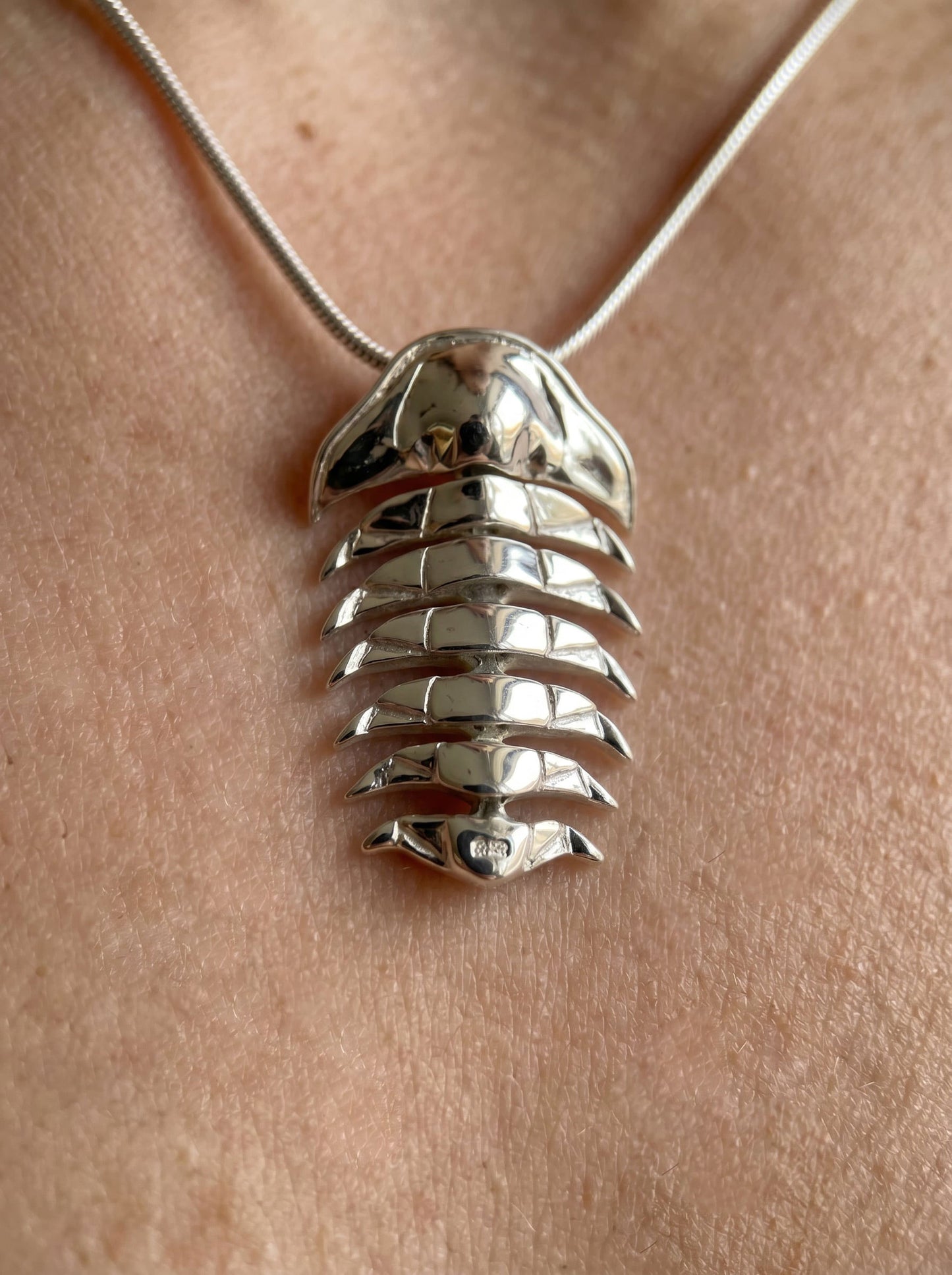 Articulated Trilobite Pendant – Fossil Jewelry by Anna Reikher