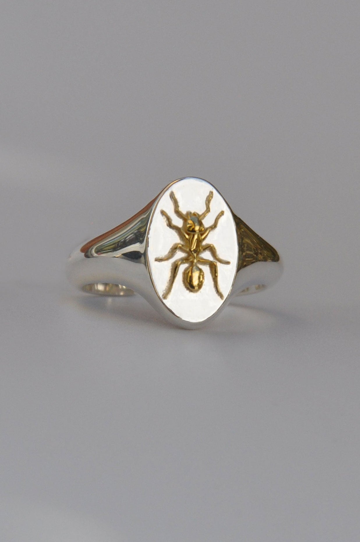 ant-5.jpg?v=1763465497&width=1946
