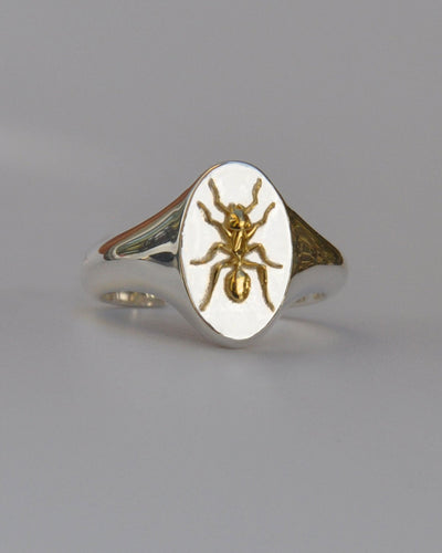 Aquarius Ant Signet Ring | Sterling Silver & Gold Plated