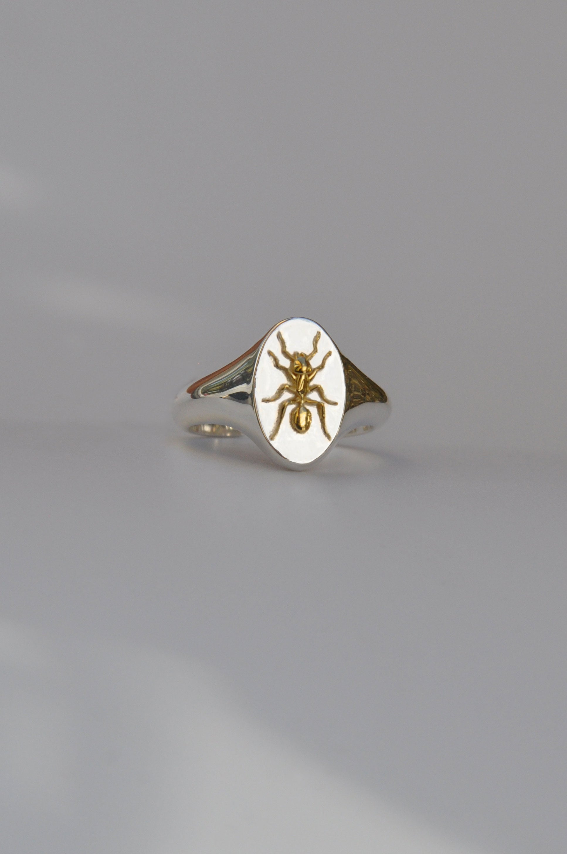 Aquarius Ant Zodiac Signet Ring | Sterling Silver & Gold Plated