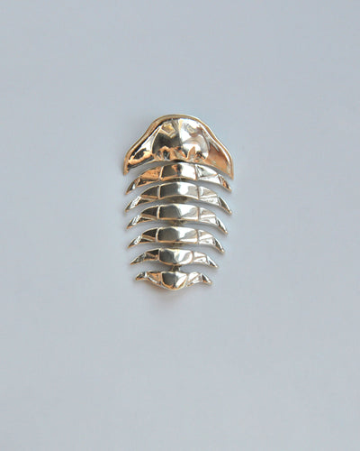 Sterling silver articulated trilobite pendant displayed on a white background. The pendant features segmented, movable sections that mimic the natural symmetry of the prehistoric trilobite fossil. Its sleek, polished finish highlights the craftsmanship and modern design inspired by ancient marine life.