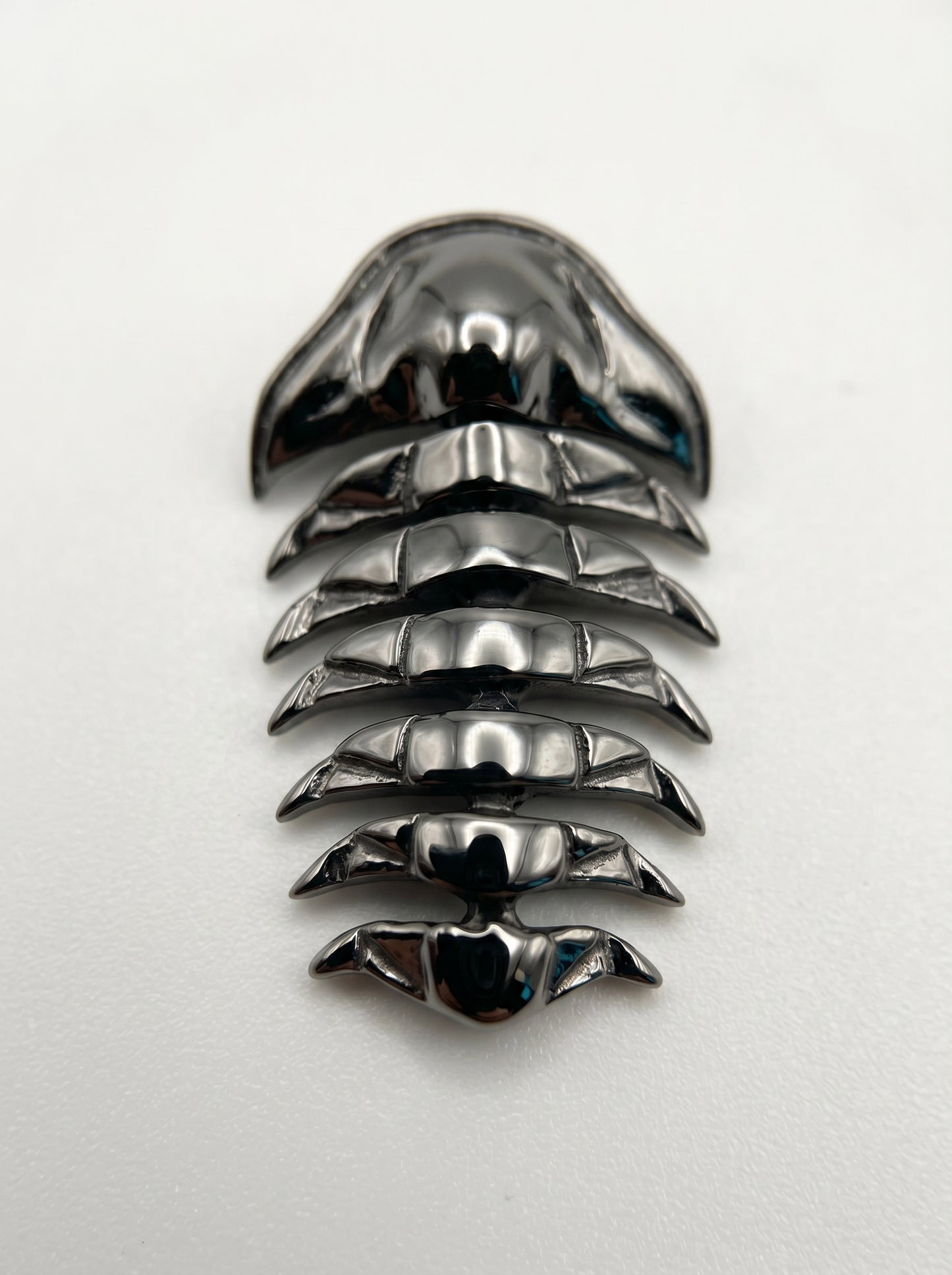 Articulated Trilobite Pendant – Fossil Jewelry by Anna Reikher