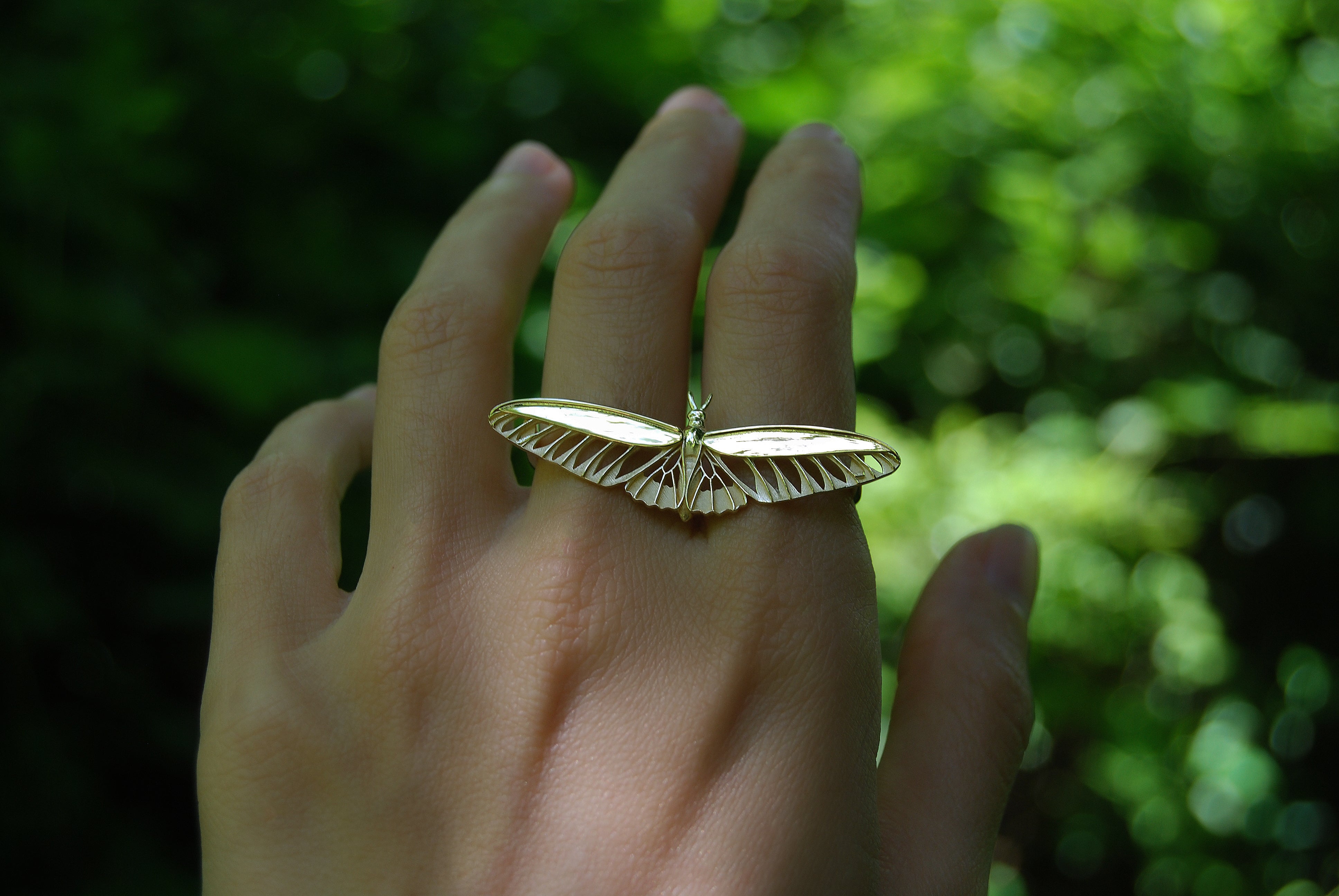 butterfly ring 【アート作品】販売します。 il_1080xN.4891101632_dkfc.jpg