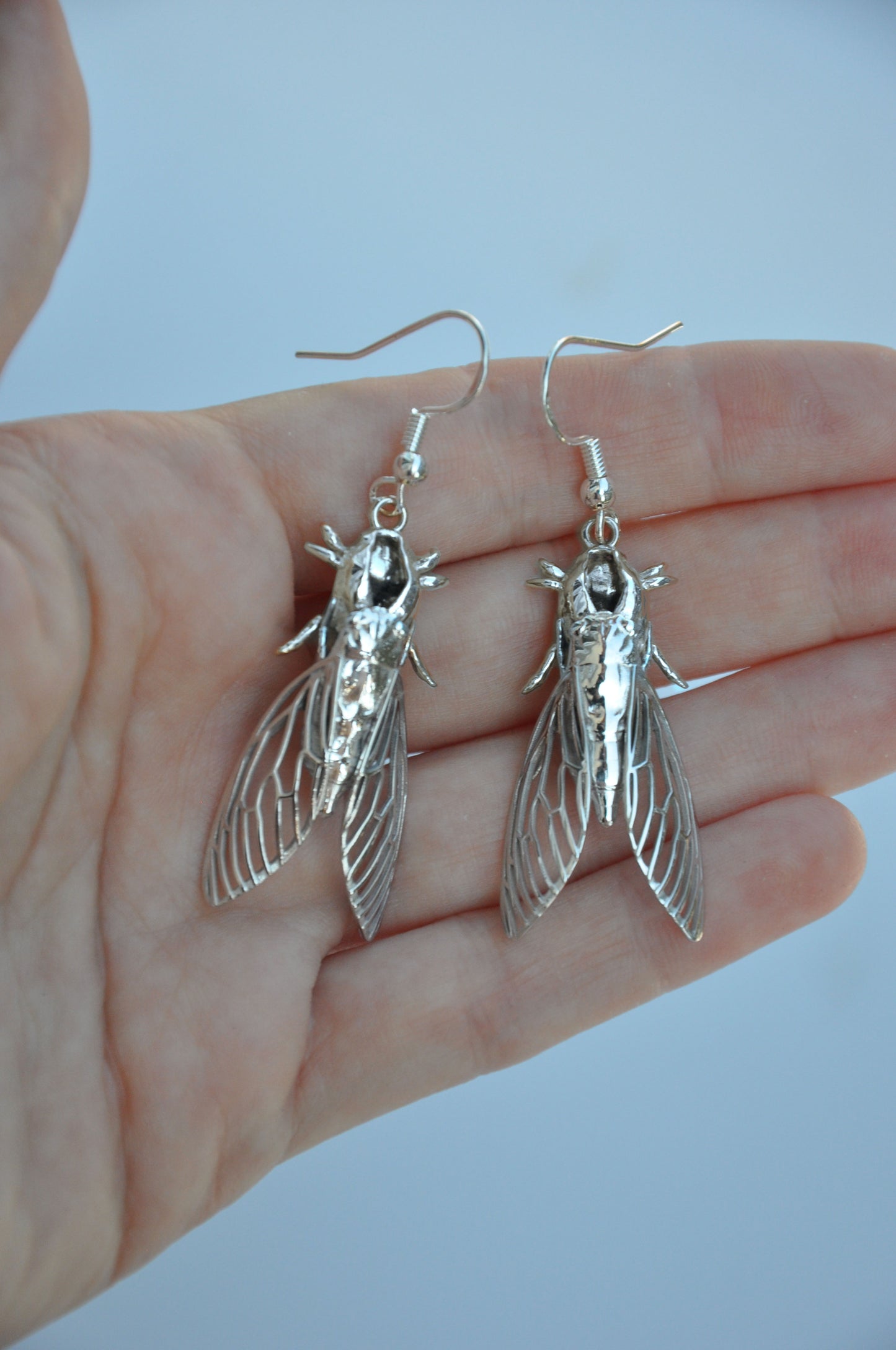 Realistic cicada shell and cicada insect earrings, a unique gift for lovers of natural jewelry