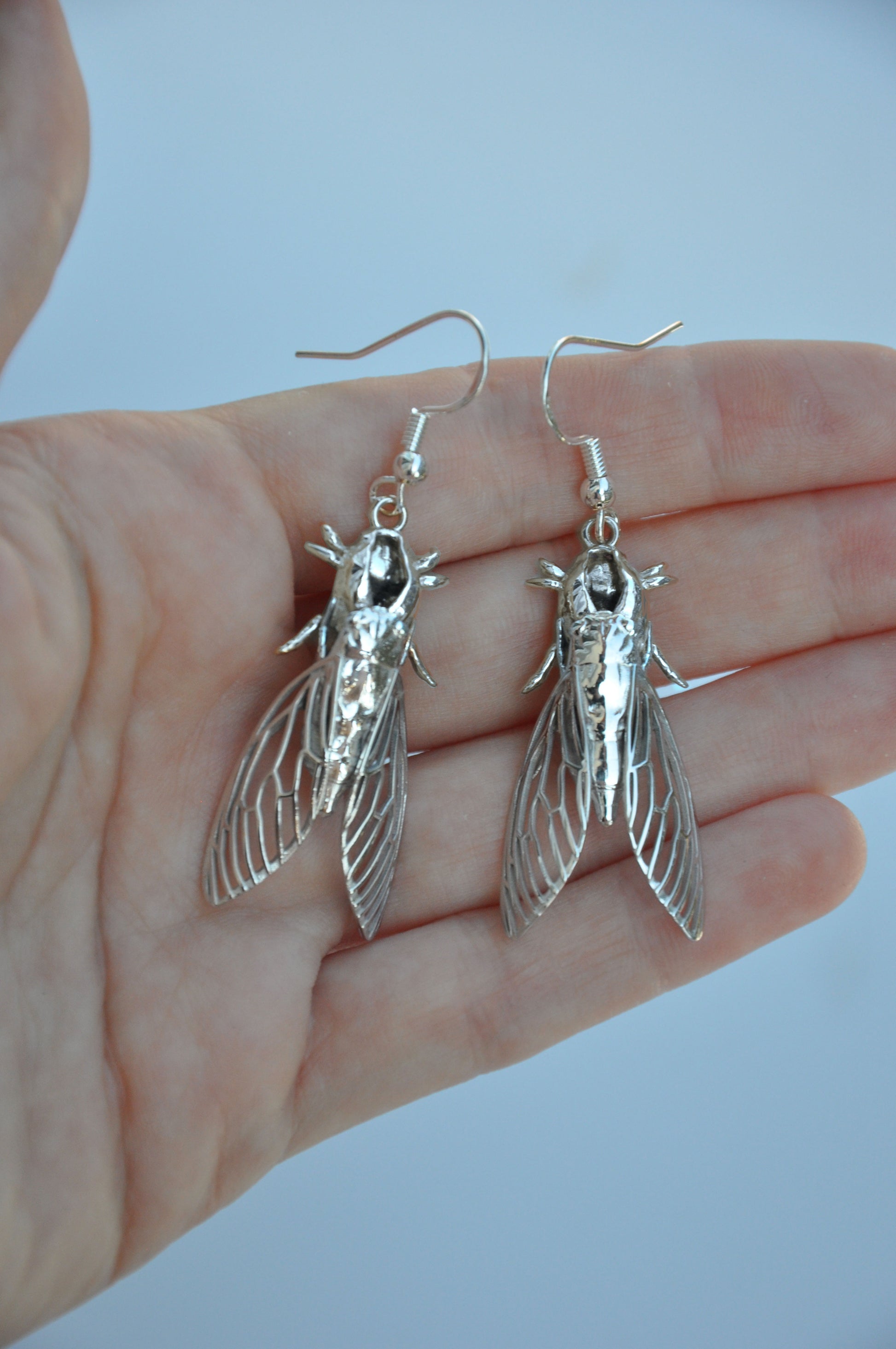 Realistic cicada shell and cicada insect earrings, a unique gift for lovers of natural jewelry
