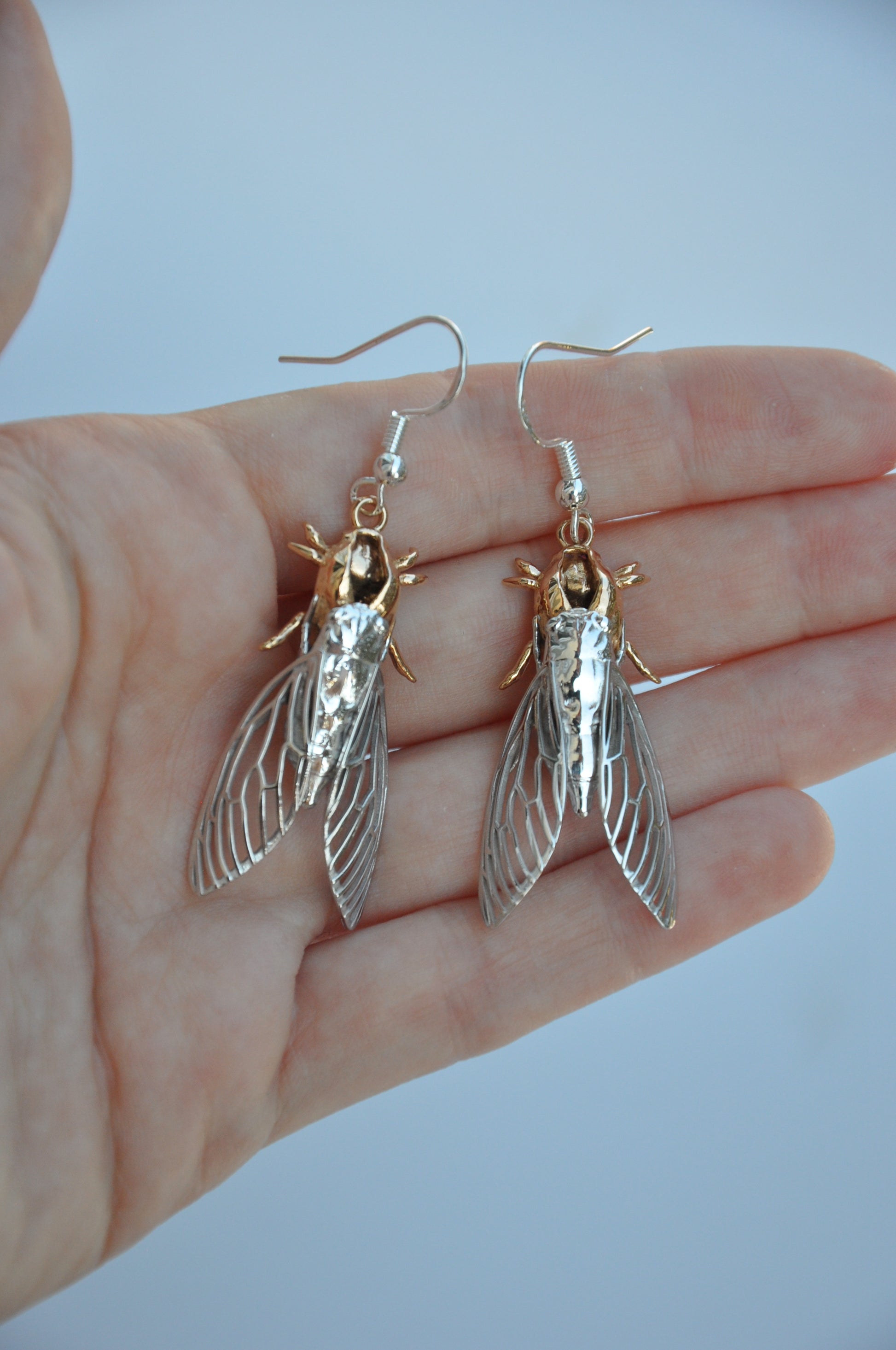 Elegant cicada and cicada shell dangling earrings, handmade silver jewelry