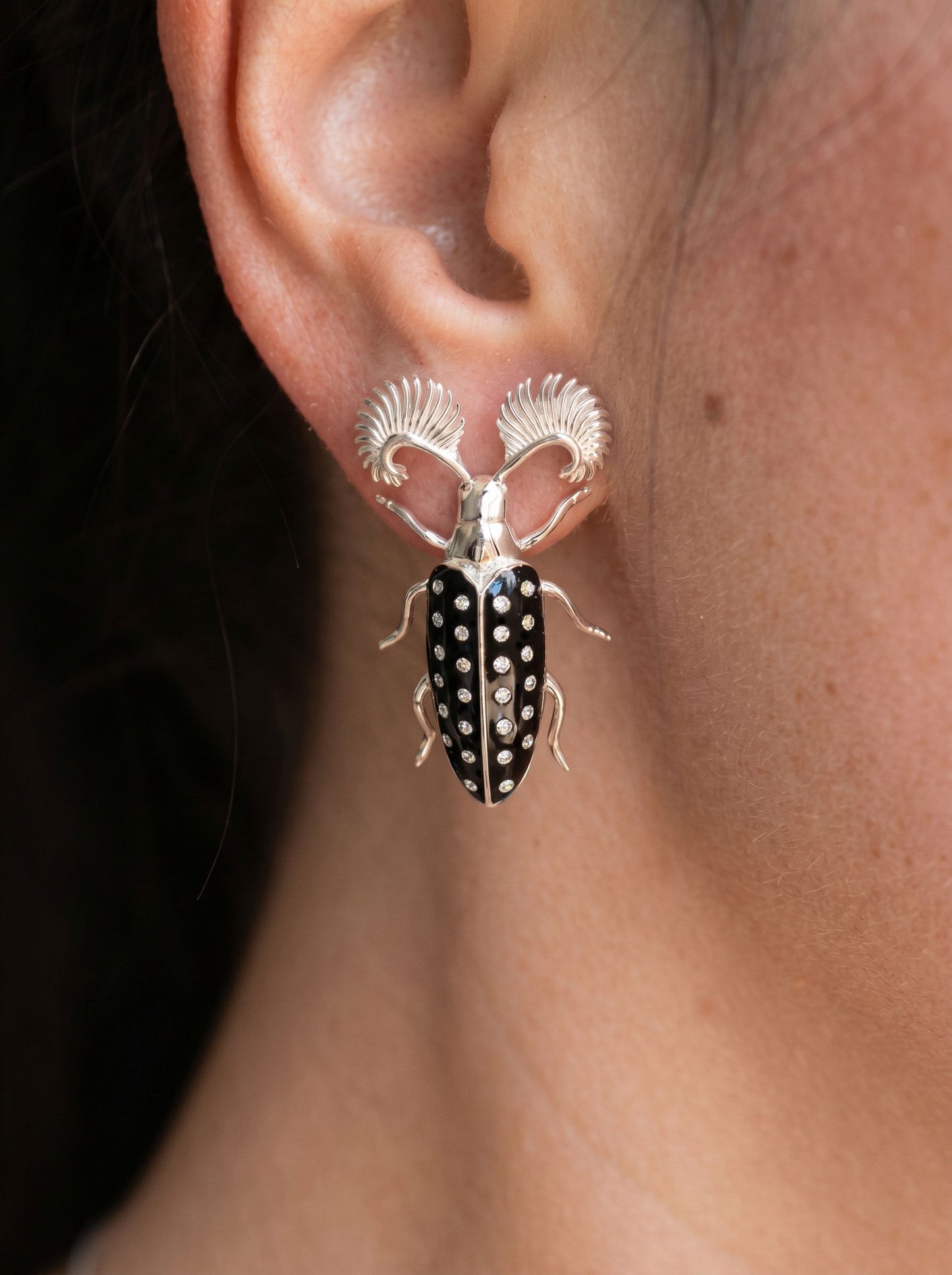 Feather‑Horned Beetle Stud Earrings — Rhipicera sp. • Black Enamel + Crystals