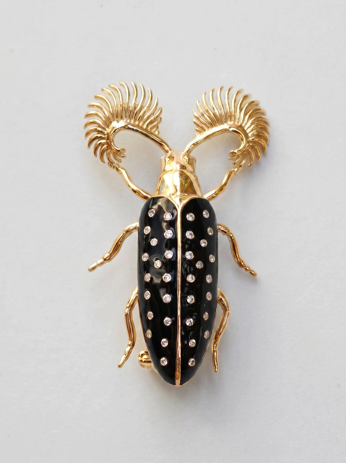 Feather‑Horned Beetle Brooch — Rhipicera sp. • Black Enamel + Crystals