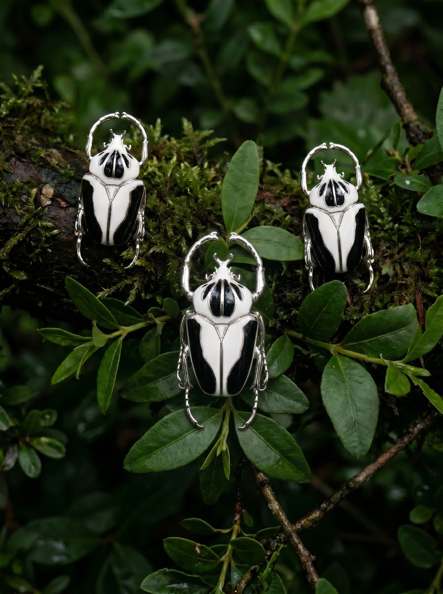 Goliath Beetle Stud Earrings — Sterling Silver or 14k Gold‑Plated with Black & White Enamel