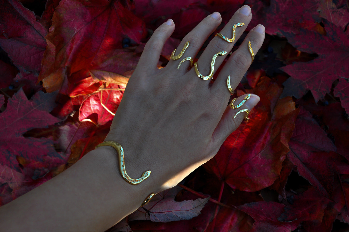 Gold snake bracelet and matching snake rings displayed on red autumn leaves, photographed outdoors and designed in Italy.