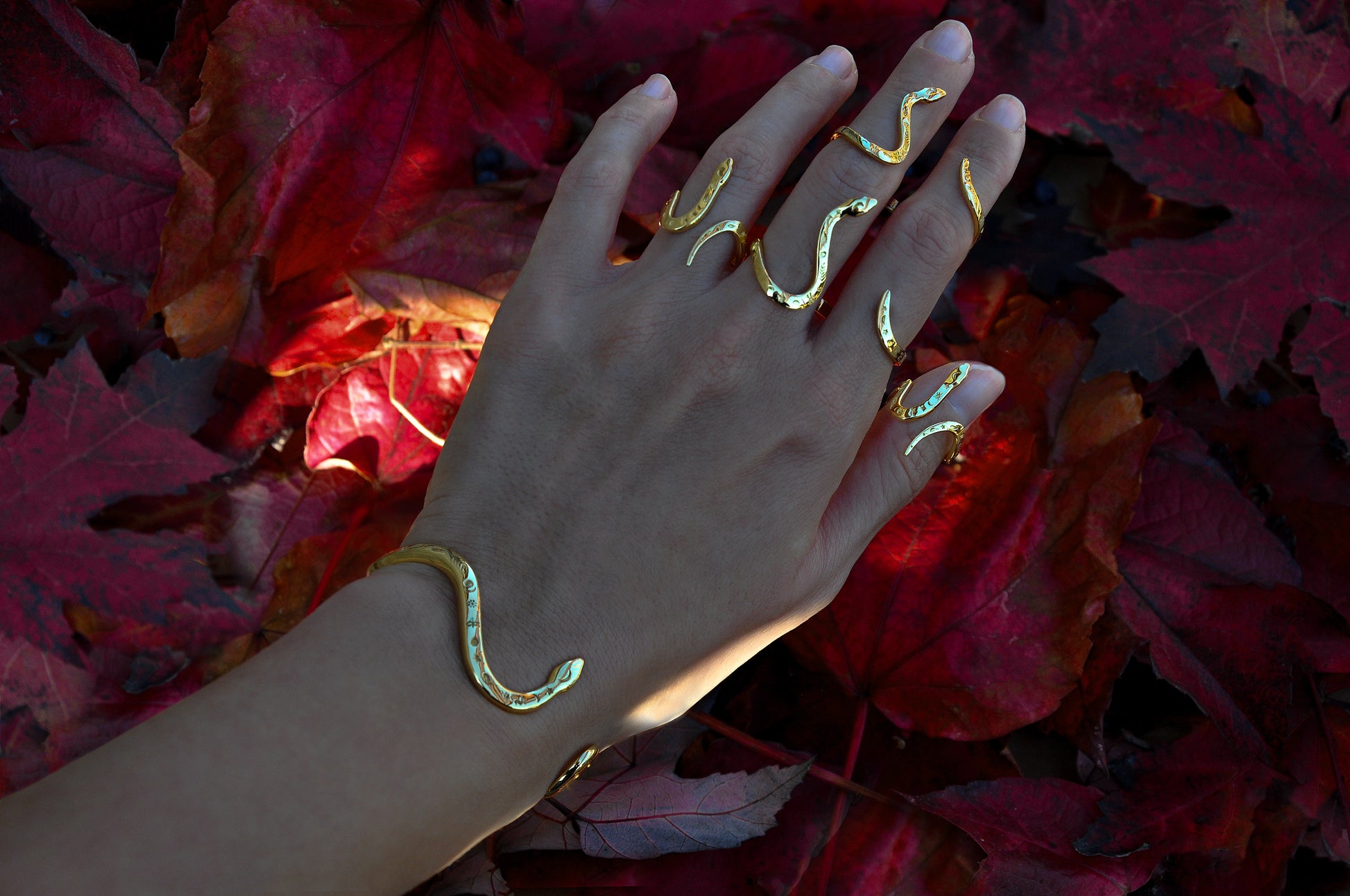 Gold snake bracelet and matching snake rings displayed on red autumn leaves, photographed outdoors and designed in Italy.