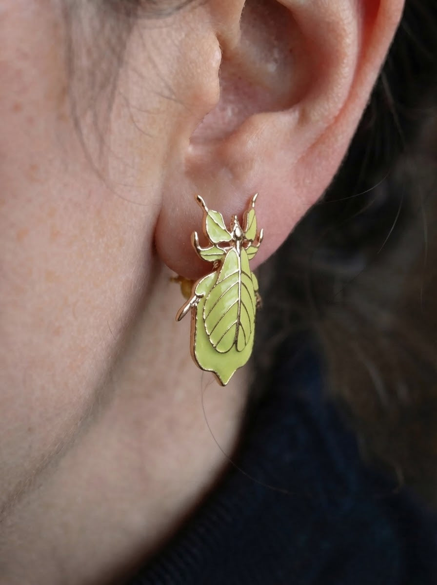 Phylliidae Leaf Insect Earrings – Gold or Silver Studs with Enamel