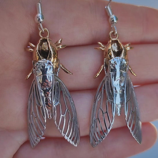 Handcrafted cicada with attached shell earrings, unique bug jewelry design