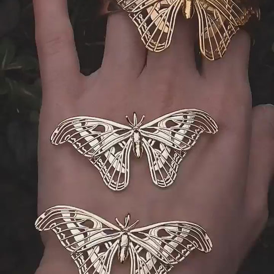 Video still of Atlas Moth Pendant and Bracelet in 14K gold plated finish, held in hand to show movement and polish.