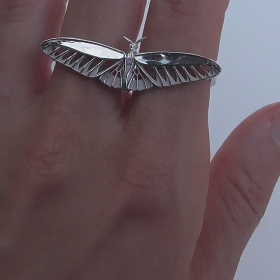 Video of sterling silver Two-Finger Butterfly Ring, highlighting movement and polished finish.