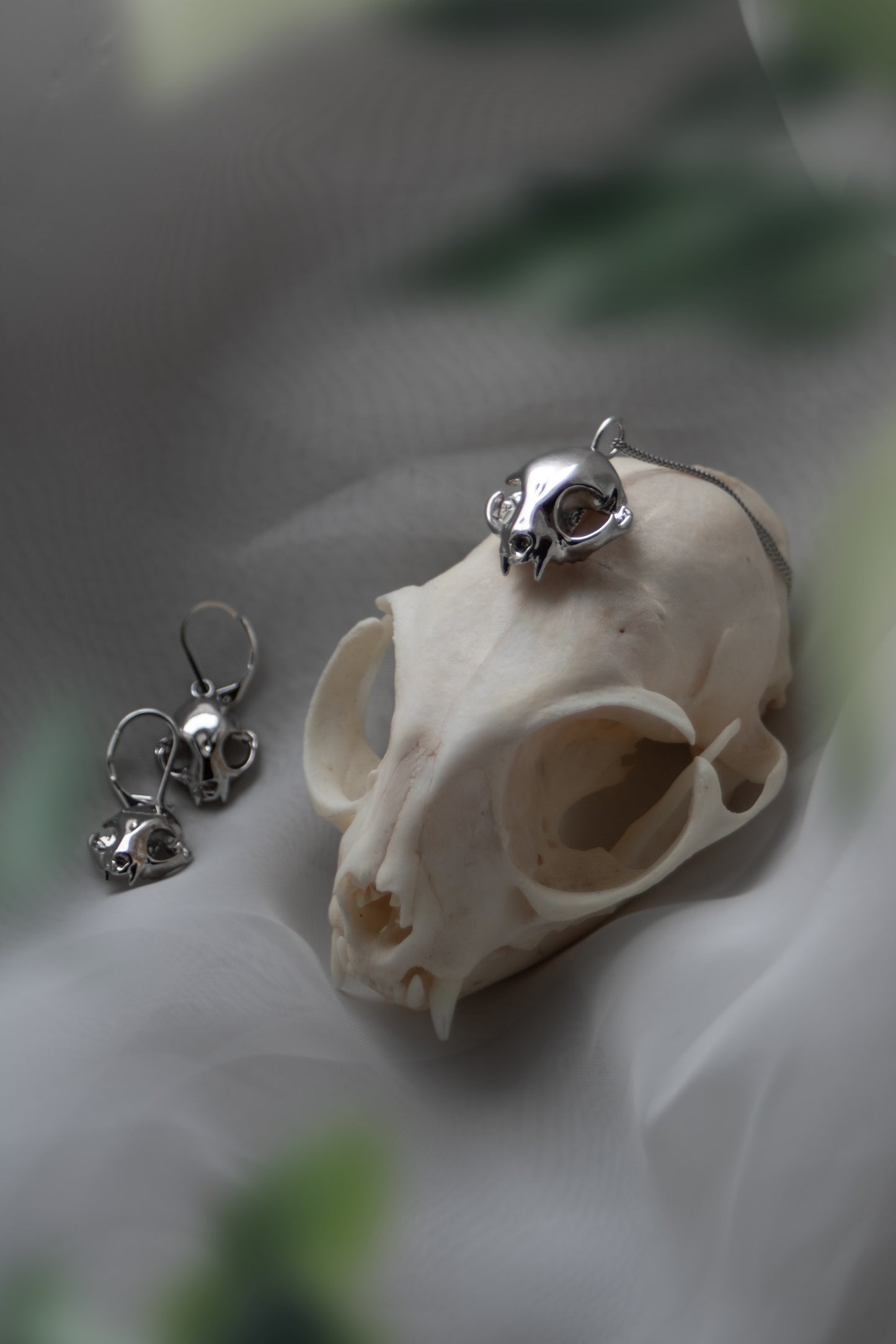 Silver feline skull drop earrings and matching pendant displayed on a real cat skull, emphasizing inspiration and design.