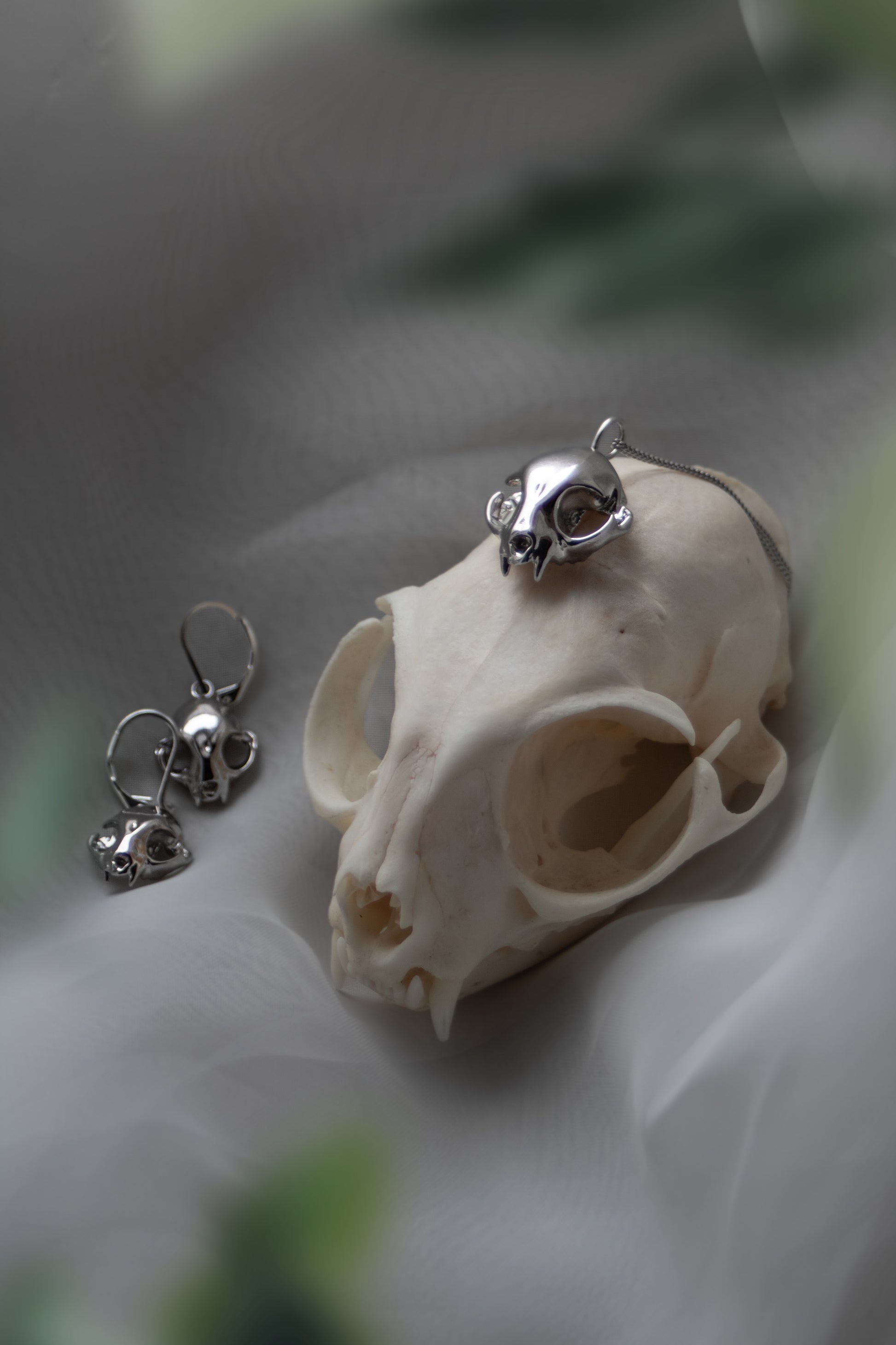  Silver feline skull drop earrings and matching pendant displayed on a real cat skull, emphasizing inspiration and design.