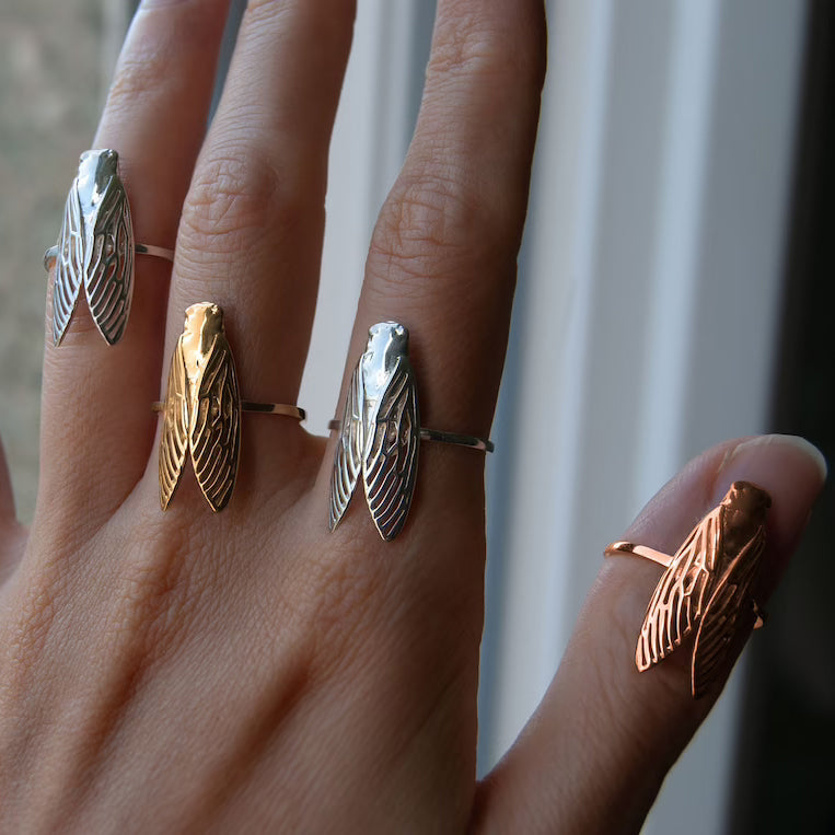 Cicada ring
