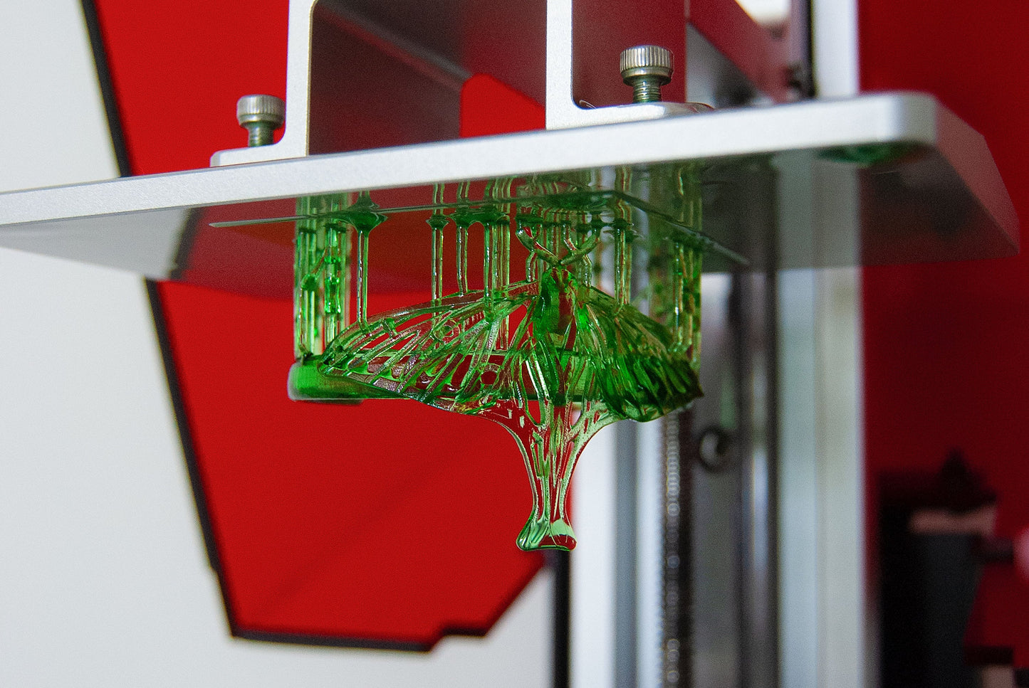 Spanish Luna Moth Bracelet